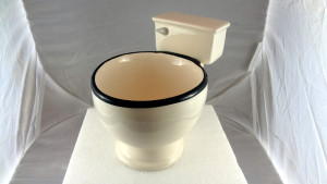 Toilet bowl mug